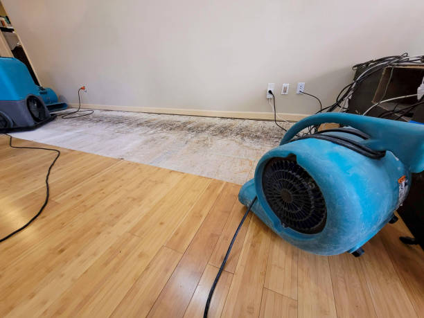 Professional Sewage Cleanup technician working in Morgan, GA